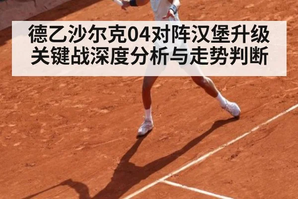 德乙沙尔克04对阵汉堡升级关键战深度分析与走势判断